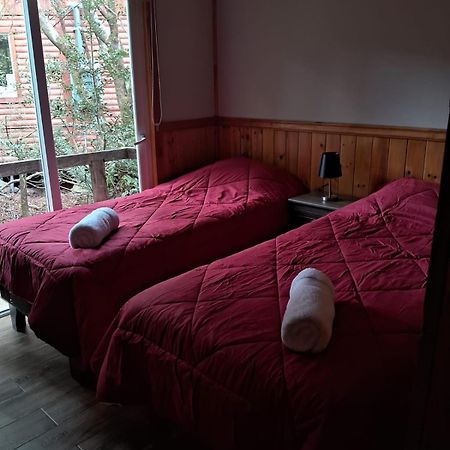 Chucao Bosque Y Cabanas Chaitén Kültér fotó