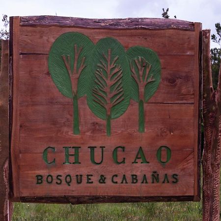 Chucao Bosque Y Cabanas Chaitén Kültér fotó