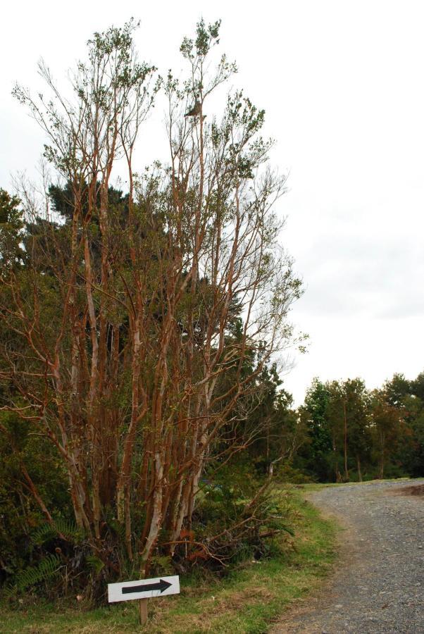 Chucao Bosque Y Cabanas Chaitén Kültér fotó