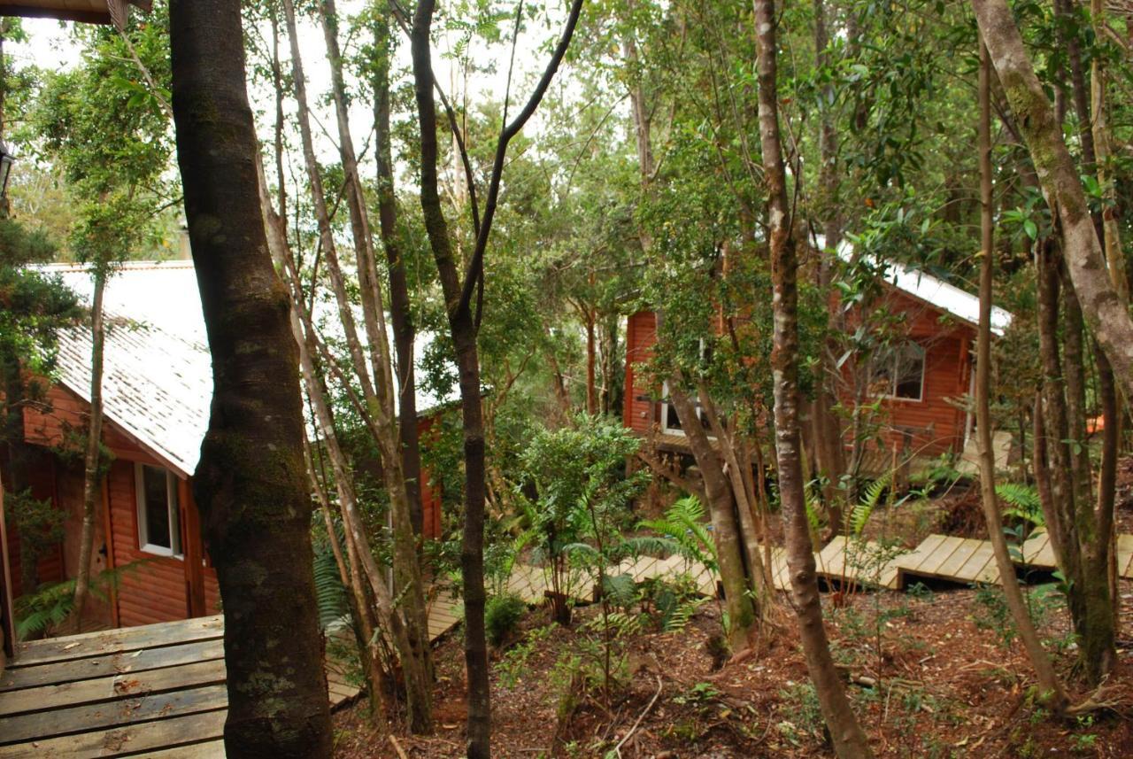 Chucao Bosque Y Cabanas Chaitén Kültér fotó